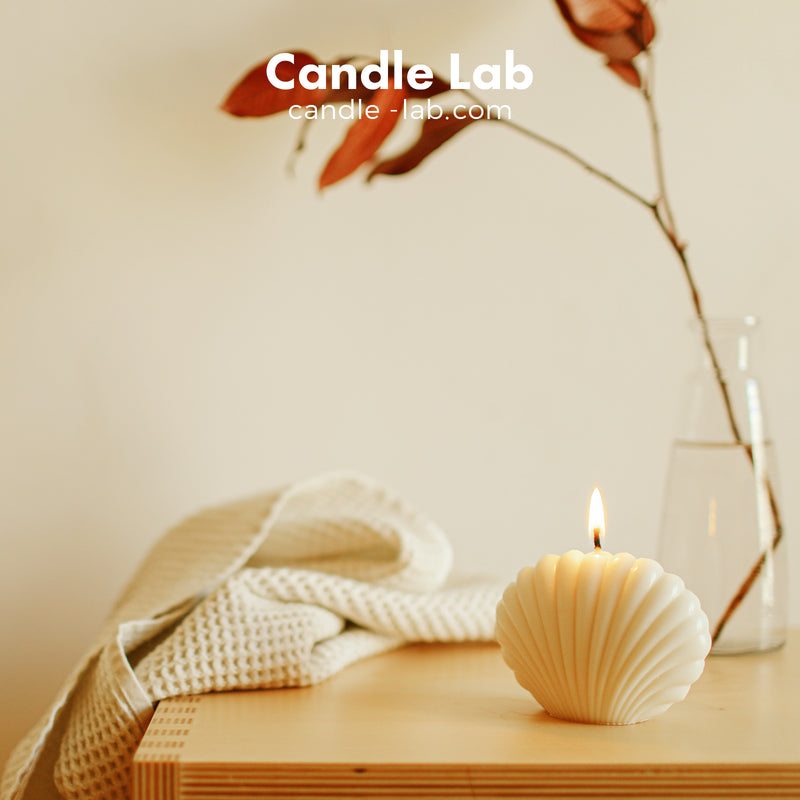 Seashell Fan Shape Candle Mold